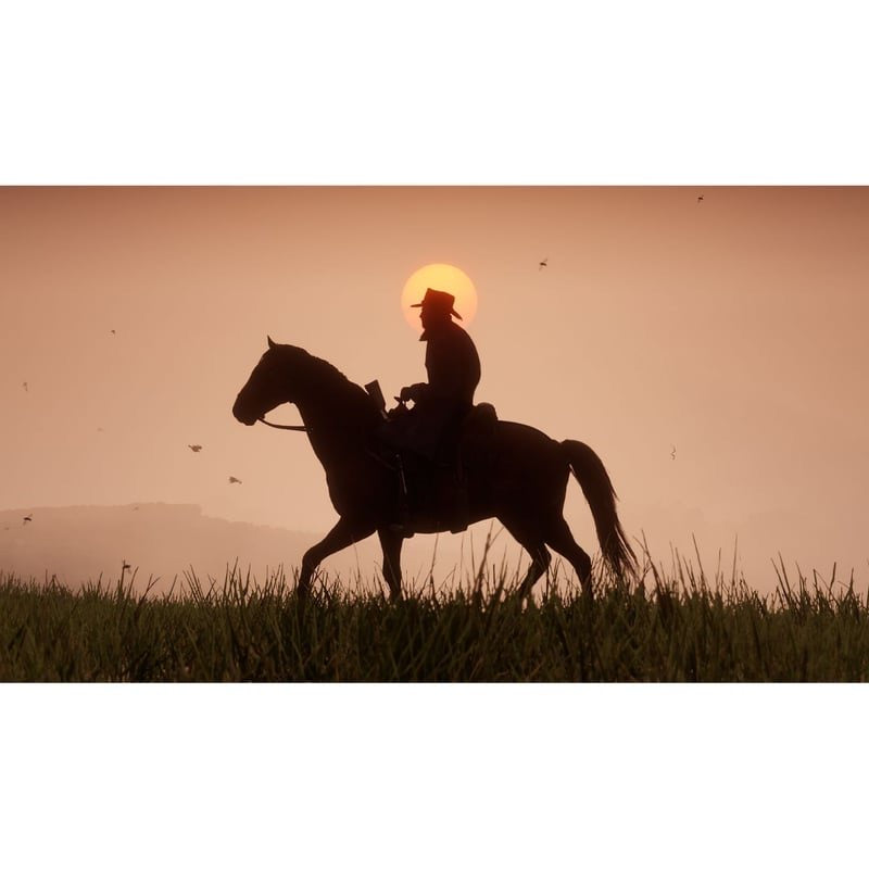 RED DEAD REDEMPTION 2 - PlayStation 4