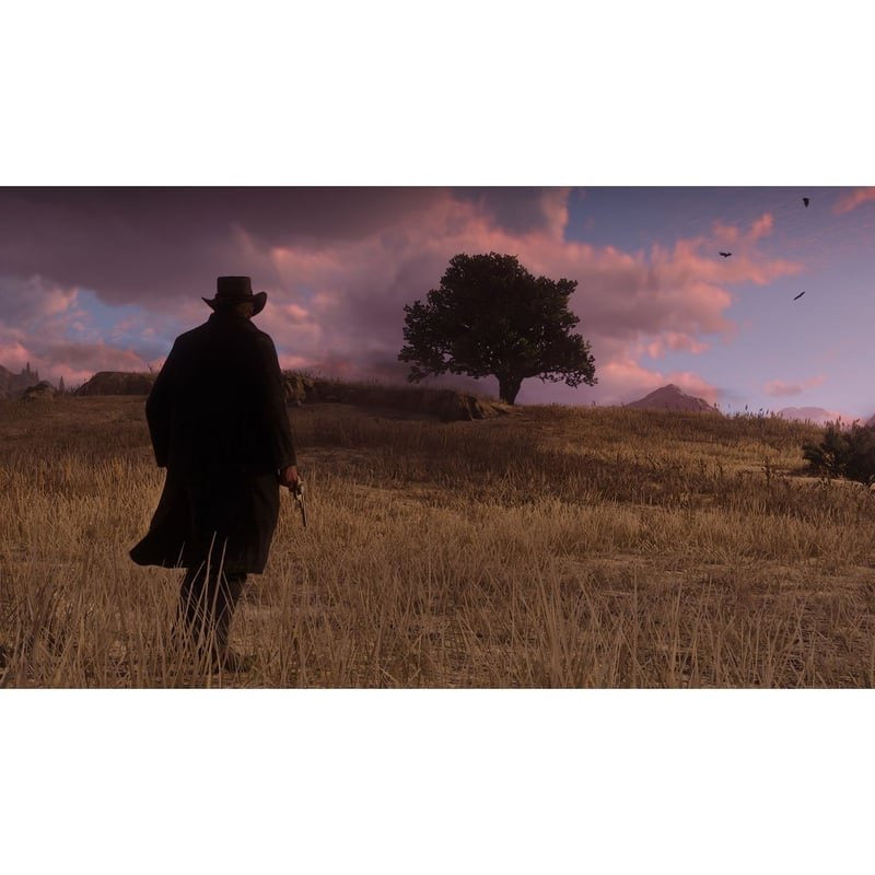 RED DEAD REDEMPTION 2 - PlayStation 4