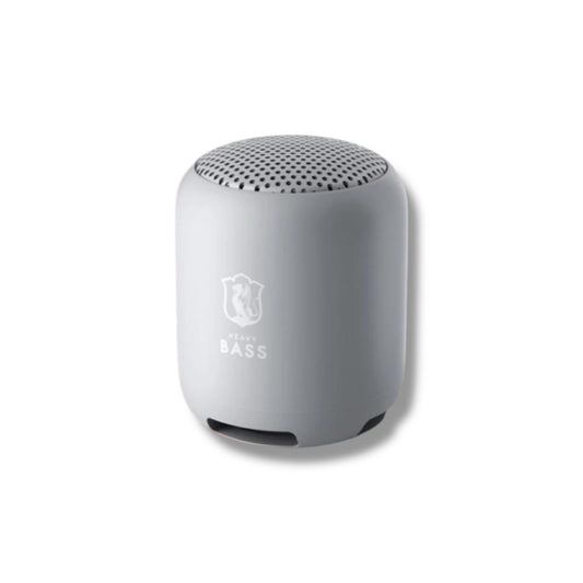 PARLANTE BLUETOOTH RECARGABLE - BASS-01